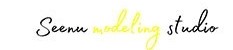 seenu studio logo