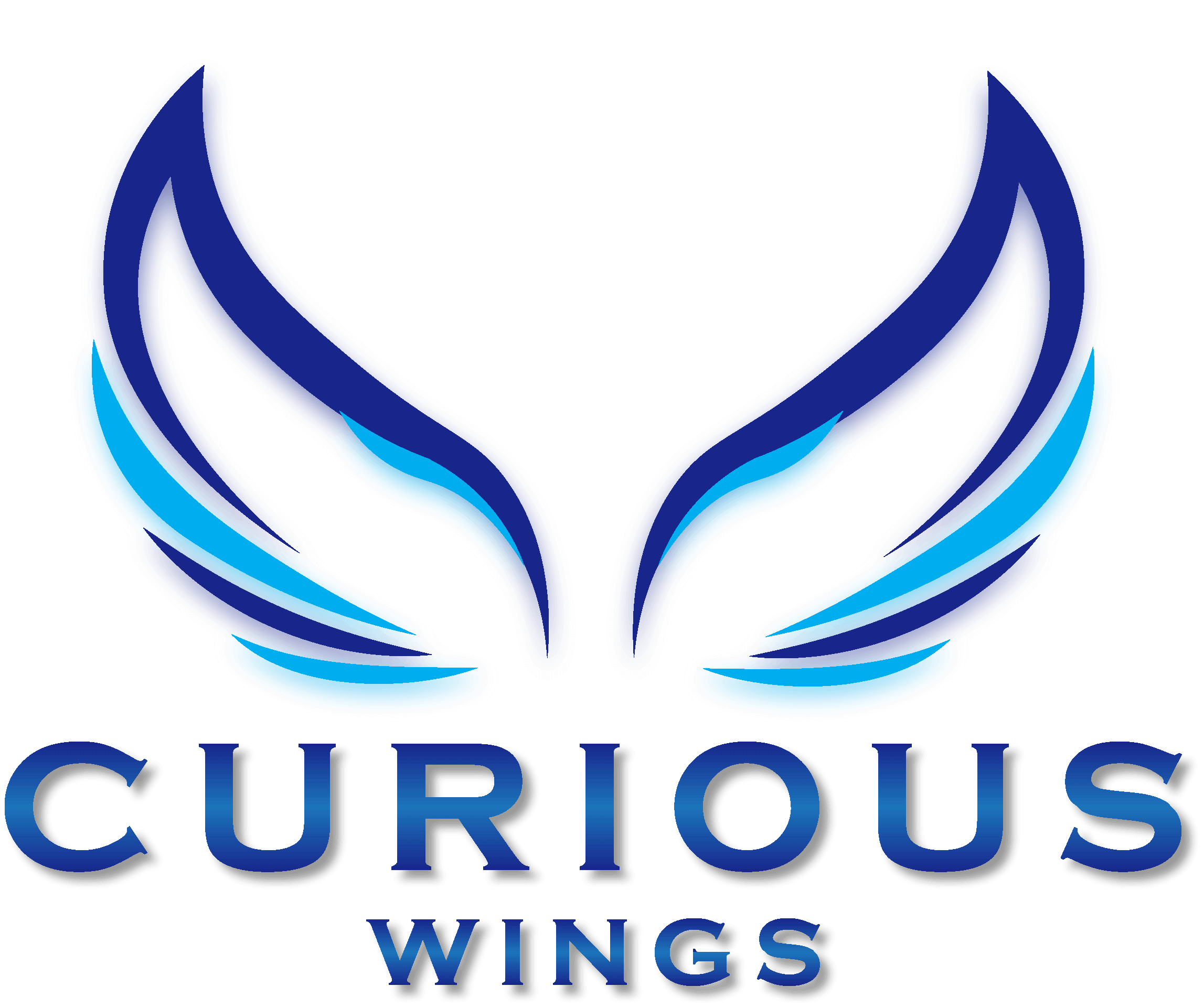curious-wings-logo